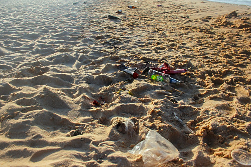 Lixo jogado na Praia Ponta de Pedras - Alter do Chão - 