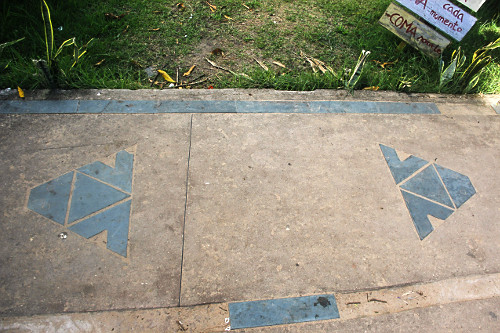 Calçada com grafismo do sapo da Lenda do Muiraquitã - Alter do Chão - considerada amuleto da sorte