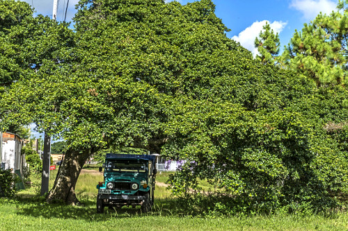 02ZP336