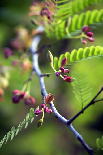 03DZ074