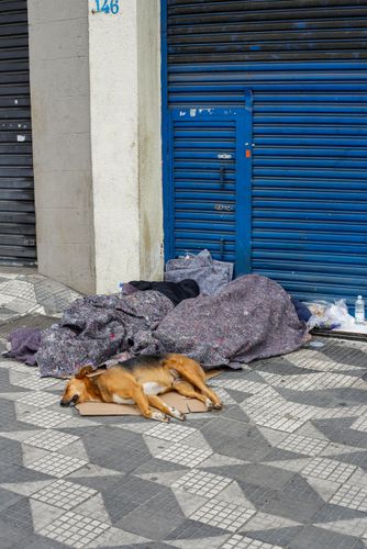 Moradores de rua e cão dormindo na calçada no centro da cidade