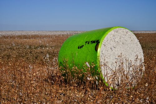 03LZ305