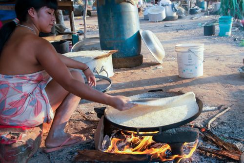 03LZ415