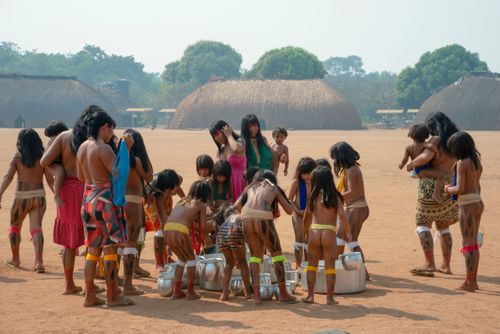 yamuricumã | Pulsar Imagens | Banco imagens do Brasil