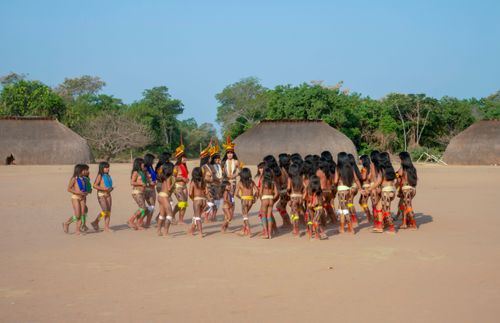 yamuricumã | Pulsar Imagens | Banco imagens do Brasil