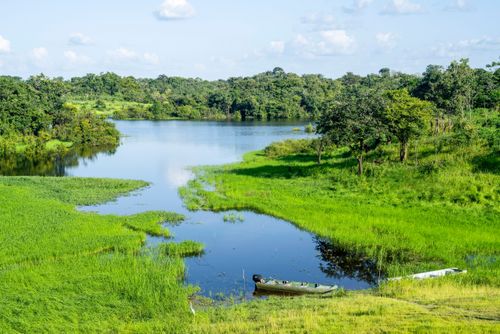 Braço do Paraná do Mira