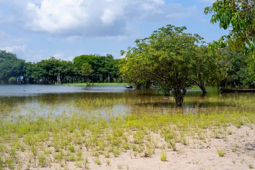 Igarapé de Jamaraquá - FLONA Floresta Nacional do Tapajós