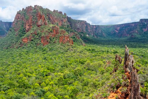 Parque Nacional da Chapada dos Guimarães 