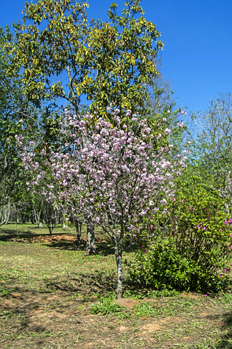 03MB099