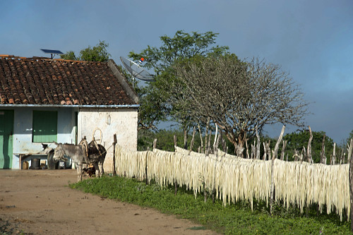03PF946