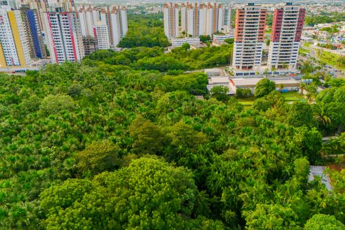 Vista de drone de edifícios residenciais no bairro Aleixo avançando sobre áreas verdes