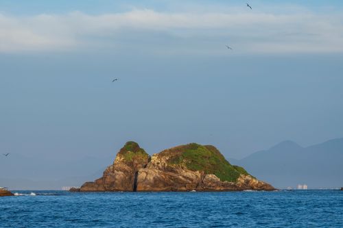 Ilha Três Picos - Parque Nacional Marinho das Ilhas dos Currais - bioma marinho costeiro