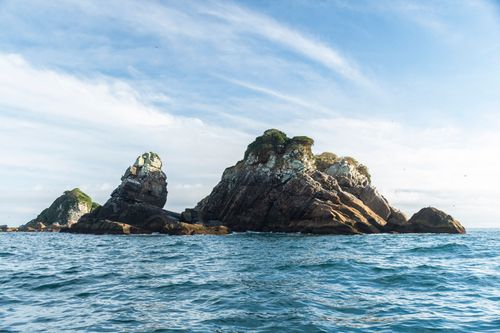 Ilha Três Picos - Parque Nacional Marinho das Ilhas dos Currais - bioma marinho costeiro