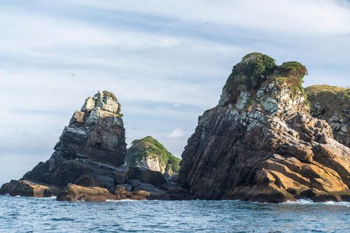 Ilha Três Picos - Parque Nacional Marinho das Ilhas dos Currais - bioma marinho costeiro