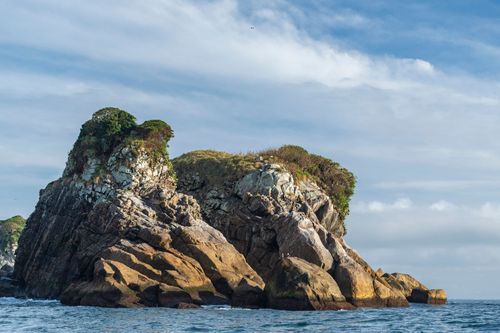Ilha Três Picos - Parque Nacional Marinho das Ilhas dos Currais - bioma marinho costeiro