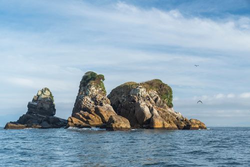 Ilha Três Picos - Parque Nacional Marinho das Ilhas dos Currais - bioma marinho costeiro