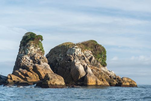 Ilha Três Picos - Parque Nacional Marinho das Ilhas dos Currais - bioma marinho costeiro