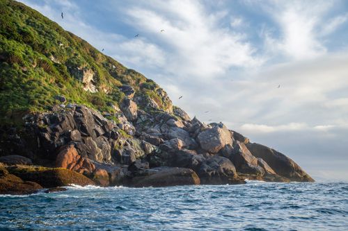 Ilha Grapirá - Parque Nacional Marinho das Ilhas dos Currais - bioma marinho costeiro