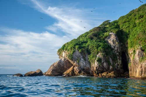 Ilha Grapirá - Parque Nacional Marinho das Ilhas dos Currais - bioma marinho costeiro