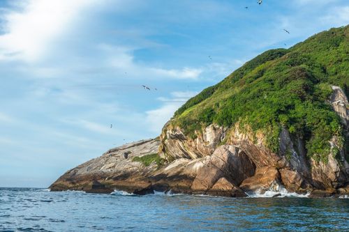 Ilha Grapirá - Parque Nacional Marinho das Ilhas dos Currais - bioma marinho costeiro