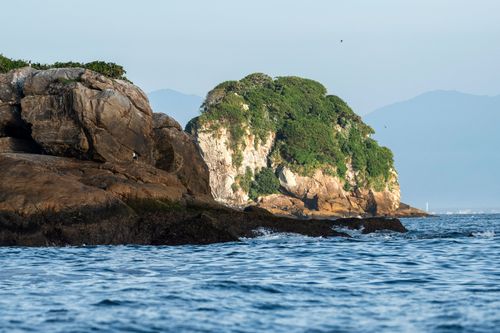 Ilha Filhote - Parque Nacional Marinho das Ilhas dos Currais - bioma marinho costeiro