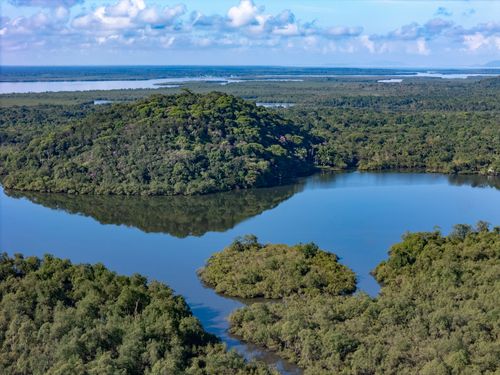 Vista de drone do manguezal da RPPN Reserva Ecológica do Sebuí ou RPPN Reserva Particular do Patrimônio Nat