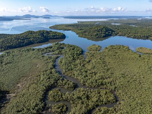 Vista de drone do manguezal da RPPN Reserva Ecológica do Sebuí ou RPPN Reserva Particular do Patrimônio Nat
