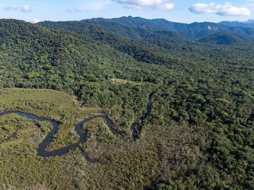Vista de drone do manguezal da RPPN Reserva Ecológica do Sebuí ou RPPN Reserva Particular do Patrimônio Nat
