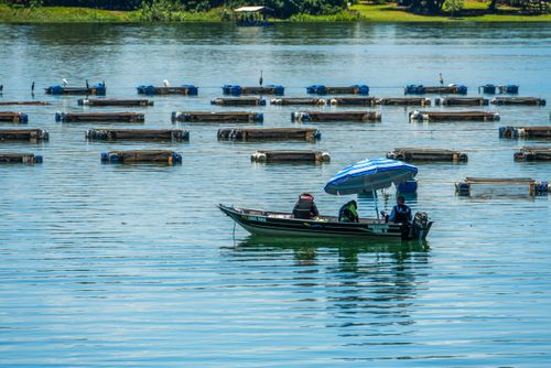03ZZ395