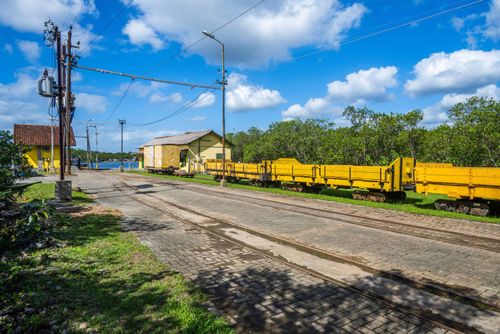 Linha ferroviária da Usina de Itatinga no Parque Estadual da Restinga de Bertioga com Serra do mar ao fundo.