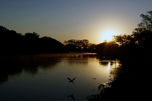 Rio Pixaim ao amanhecer - 