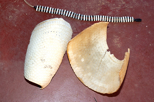 04CC719