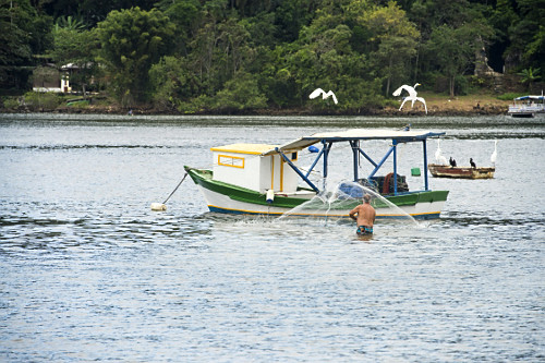 Pesca de tarrafa no Canal de Bertioga - 