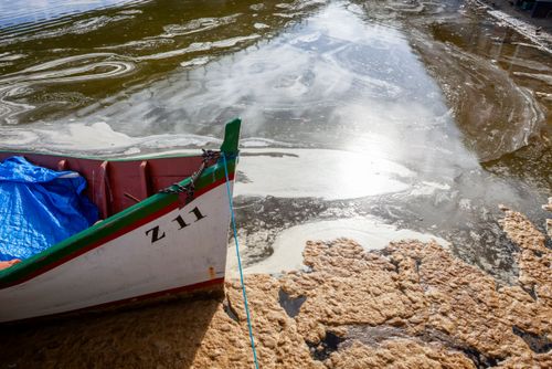 lagoa poluída | Pulsar Imagens | Banco imagens do Brasil
