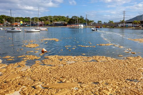 lagoa poluída | Pulsar Imagens | Banco imagens do Brasil
