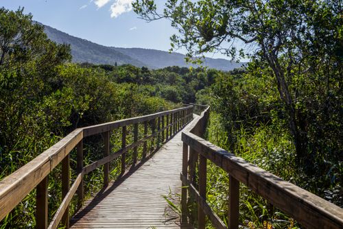 Passarela de acesso ao Beco da Lua - região entre a Praia Beco da Lua e Porto da Lagoa e Rio Tavares