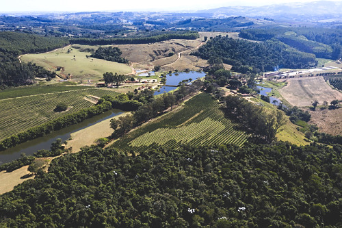 Vista de drone de propriedade rural com plantação de café do tipo catuaí -