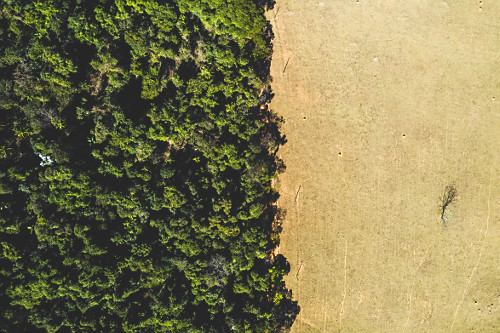 Vista de drone de mata nativa e área desértica -