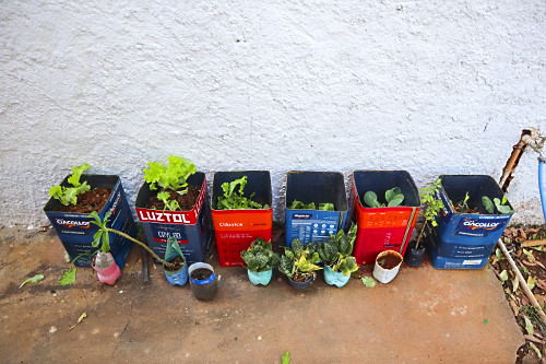 Horta semeada em latas de tinta reutilizadas - Escola Municipal Nilza Ayres Pires
