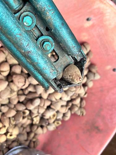 Instrumento de quebra da castanha de Baru para extração da amêndoa