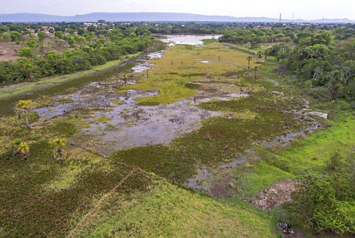 Vista de drone da Vereda das Vacas no período da seca