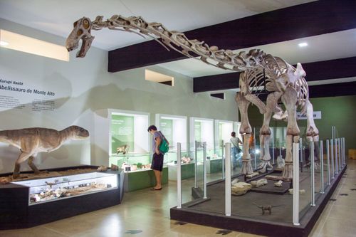 Réplica do Ibirania parva - Museu de Paleontologia Professor Antonio Celso de Arruda Campos