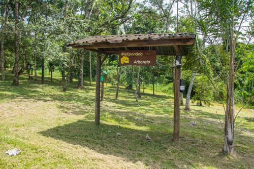Meliponário no Parque Estadual de Vassununga