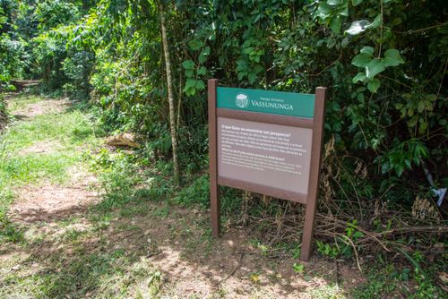 Parque Estadual de Vassununga - orientações se encontrar um javaporco
