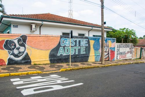 Incentivo a castração de animal doméstico - abandono de animais é crime - centro da cidade
