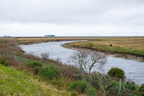 Planície alagada na Estação Ecológica do Taim