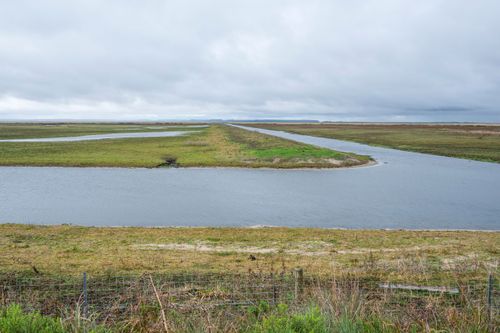 Planície alagada na Estação Ecológica do Taim