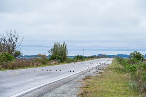 04MB367