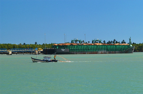 Porto - Pescador lançando rede