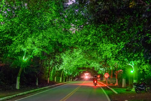 04RT252